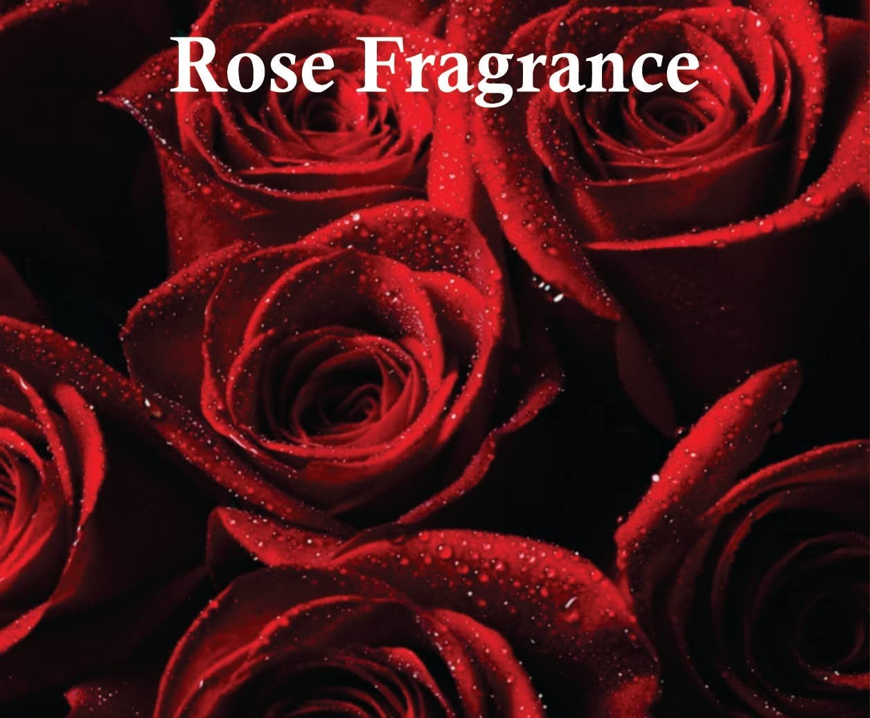 Dirham Gold OUD Unisex Perfume EDP by Manasik Arabic Fragrance Nice Smell 100ml