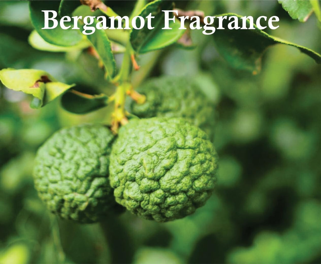 Mountain Nuit Paris 100ml EDP by Grandeur Elite