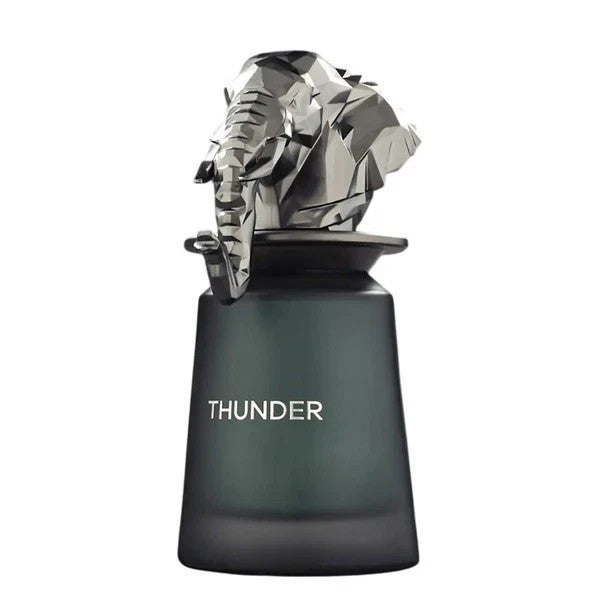 Thunder | EDP 100ml | By French Avenue For Unisex
